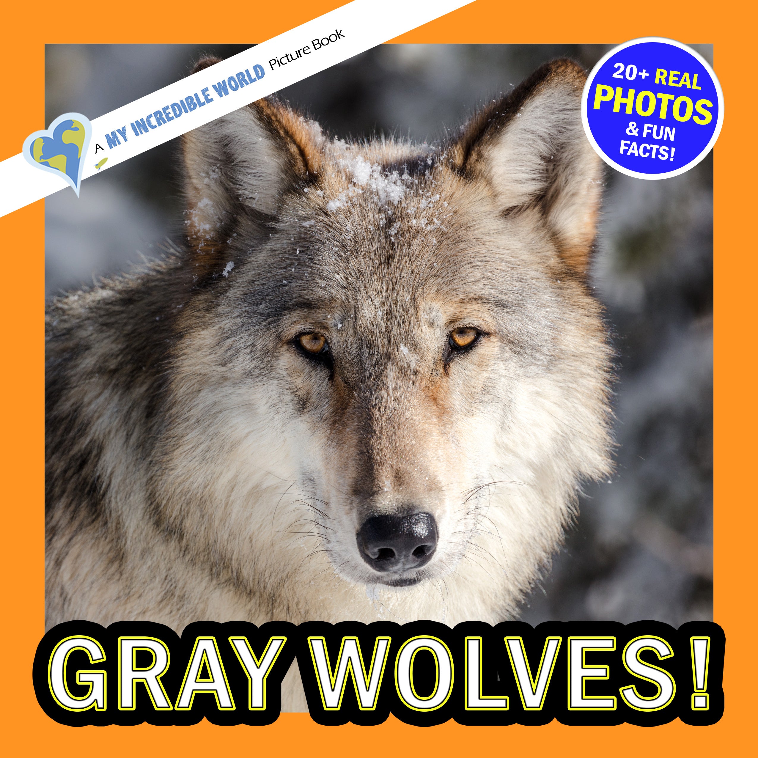 Gray Wolves! A My Incredible World Picture Book for Children